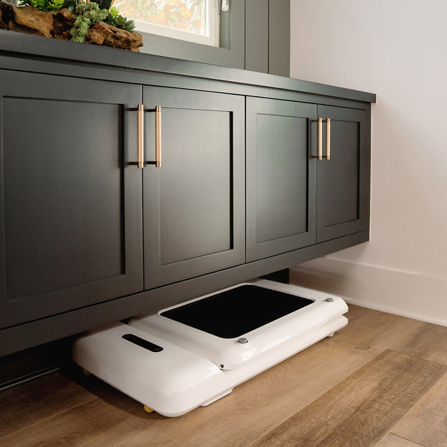 WalkingPad C2 Compact Folding Treadmill in White