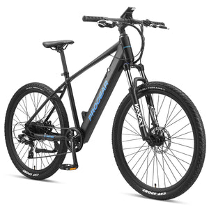 Electric Bikes