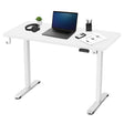 Lifespan Fitness ErgoDesk Electric Standing Desk 120cm (White/White)