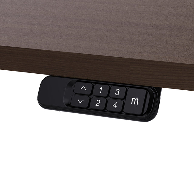Lifespan Fitness ErgoDesk Electric Standing Desk 160cm (Walnut/Black)